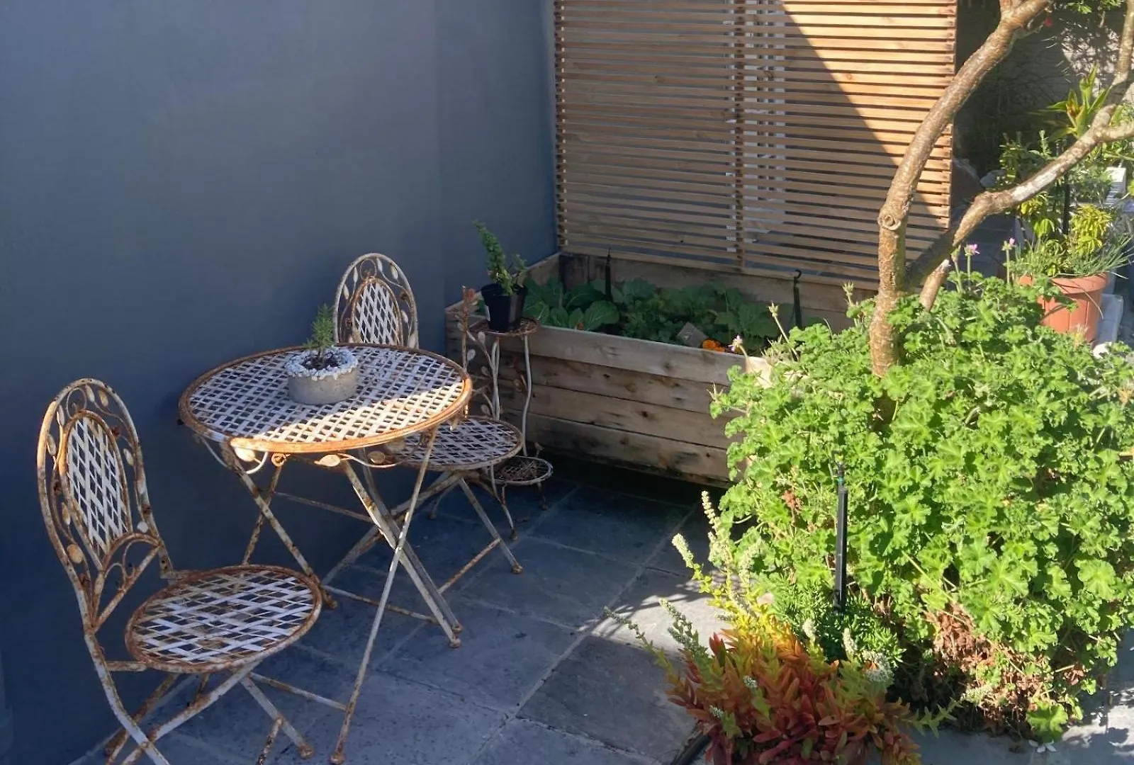 Tranquil Garden Cottage Cape Town South Africa